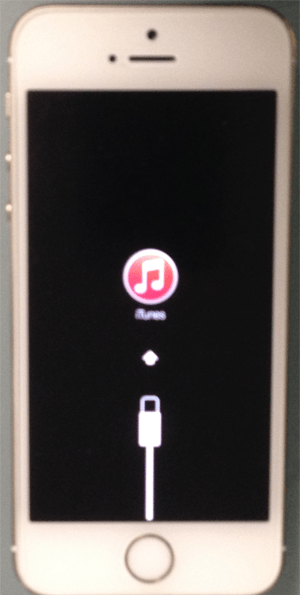 iphone5S_リンゴループ画面