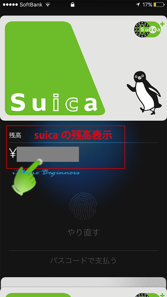 ApplePay_ロック中アクセス画面_suicaの残高表示