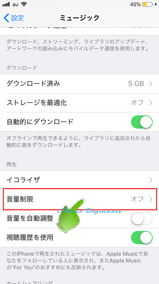 Iphone 音量 制限