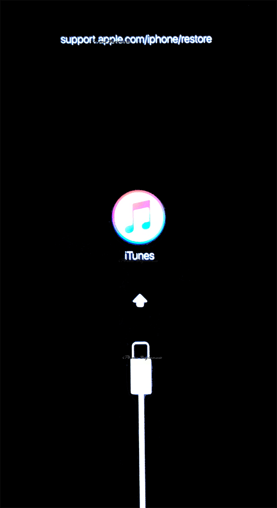 iPhone_リカバリーモード画面_iOS12