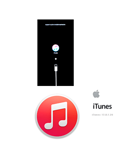 iPhone_リカバリーモード_iTunes